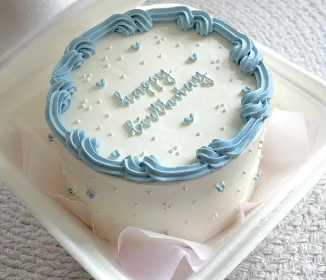 Minimalist Bento Cake