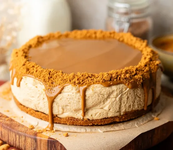 Biscoff Cheesecake (Without Biscuit)