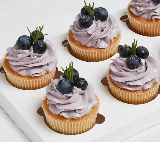 Blueberry Cupcake