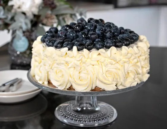 Blueberry Fruit Cake